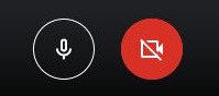 Google Meet - Camera and microphone toggle options
